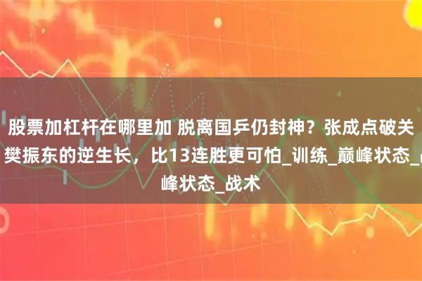 股票加杠杆在哪里加 脱离国乒仍封神？张成点破关键：樊振东的逆生长，比13连胜更可怕_训练_巅峰状态_战术