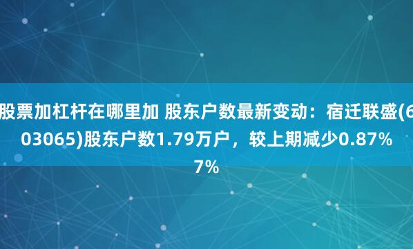 股票加杠杆在哪里加 股东户数最新变动：宿迁联盛(603065)股东户数1.79万户，较上期减少0.87%