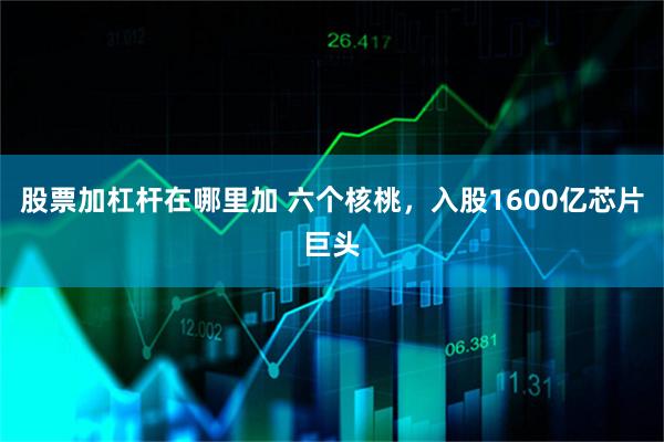 股票加杠杆在哪里加 六个核桃,入股1600亿芯片巨头